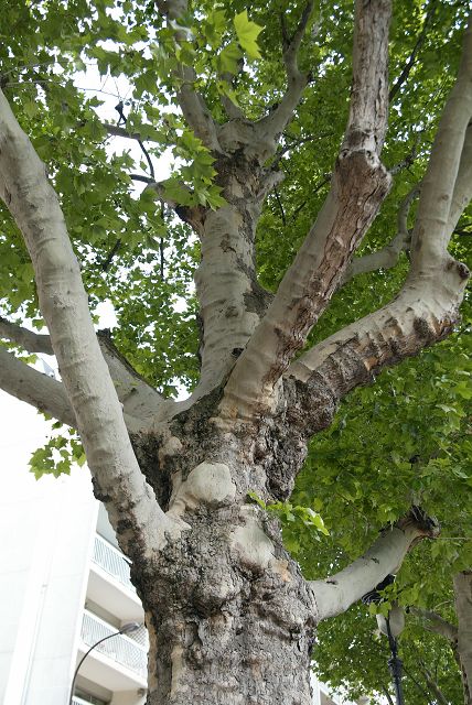 050603_csm-056.JPG