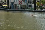 050603_csm-037.JPG