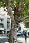 050603_csm-058.JPG