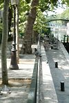 050603_csm-064.JPG