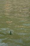 050603_csm-096.JPG