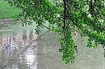 104_BC_juma.jpg